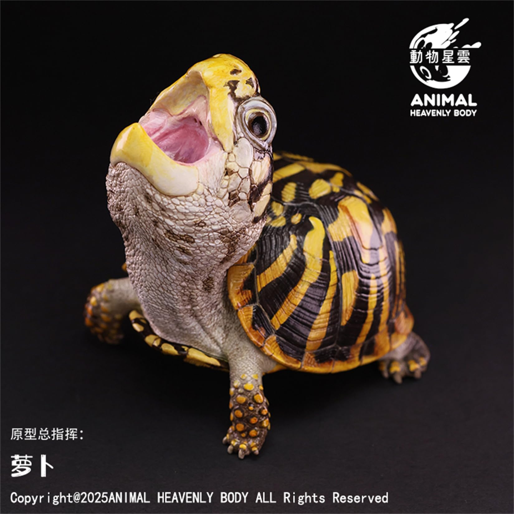 【動物の惑星】レア★ユカタンハコガメ★シークレット! フィギュア 動物の惑星】ユカタンハコガメ フィギュア : インセクテック動物の惑星